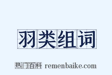 羽类组词是什么意思的图片